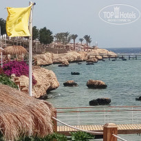 фото из отзыва ID 2736825