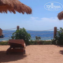 фото из отзыва ID 2736825