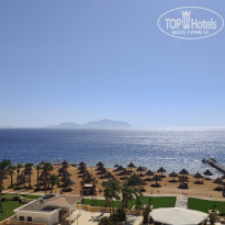 фото из отзыва ID 2730039