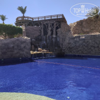 фото из отзыва ID 2730039