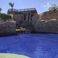 фото из отзыва ID 2730039