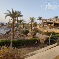 фото из отзыва ID 2730039