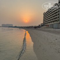 фото из отзыва ID 2730044