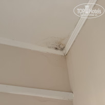 фото из отзыва ID 2730077