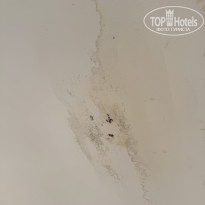 фото из отзыва ID 2730077