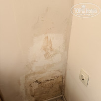 фото из отзыва ID 2730077