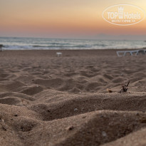 фото из отзыва ID 2730078