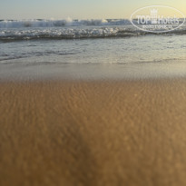 фото из отзыва ID 2730078