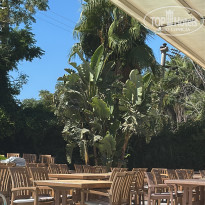 фото из отзыва ID 2730078