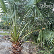 фото из отзыва ID 2730078