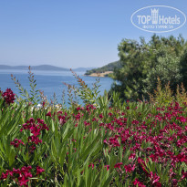 фото из отзыва ID 2730121