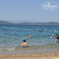 фото из отзыва ID 2730121