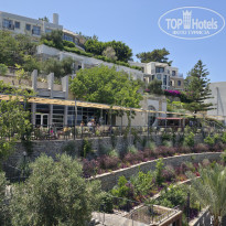 фото из отзыва ID 2730121