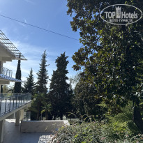 фото из отзыва ID 2730140