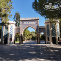 фото из отзыва ID 2730143