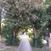 фото из отзыва ID 2730143