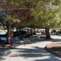 фото из отзыва ID 2730143