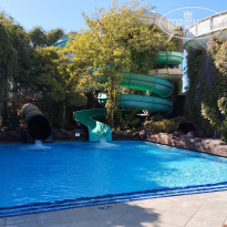 фото из отзыва ID 2730143