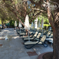 фото из отзыва ID 2730143