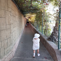 фото из отзыва ID 2730143