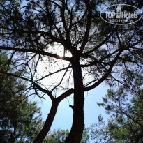 фото из отзыва ID 2730066