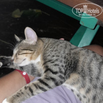 фото из отзыва ID 2730066