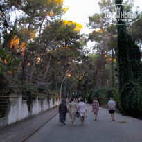 фото из отзыва ID 2730066