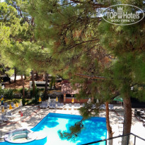 фото из отзыва ID 2730066