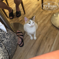 фото из отзыва ID 2730202