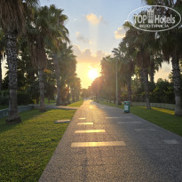 фото из отзыва ID 2730202