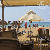 фото из отзыва ID 2730202