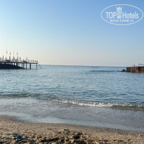 фото из отзыва ID 2730209