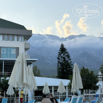 фото из отзыва ID 2730231