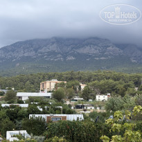 фото из отзыва ID 2730231