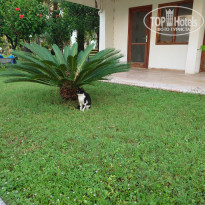 фото из отзыва ID 2730221