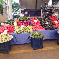 фото из отзыва ID 2730221