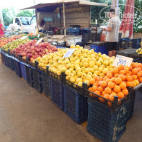 фото из отзыва ID 2730221