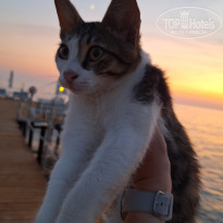 фото из отзыва ID 2730239