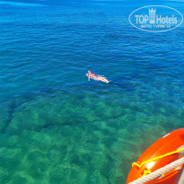 фото из отзыва ID 2730239