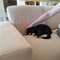 фото из отзыва ID 2730239