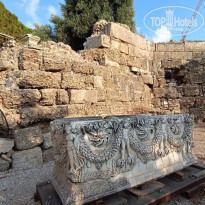 фото из отзыва ID 2730249