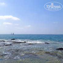 фото из отзыва ID 2730249