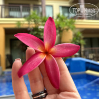 фото из отзыва ID 2730253