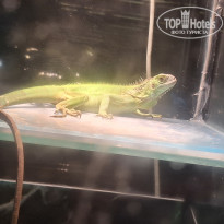 фото из отзыва ID 2730254