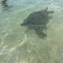 фото из отзыва ID 2730266