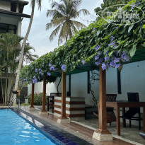 фото из отзыва ID 2730266