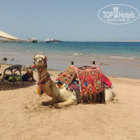 фото из отзыва ID 2730268