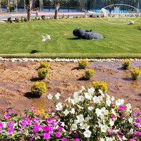 фото из отзыва ID 2730268