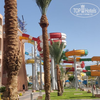 фото из отзыва ID 2730268