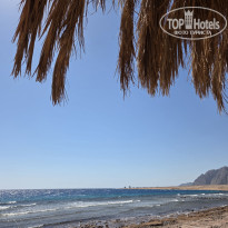 фото из отзыва ID 2730279